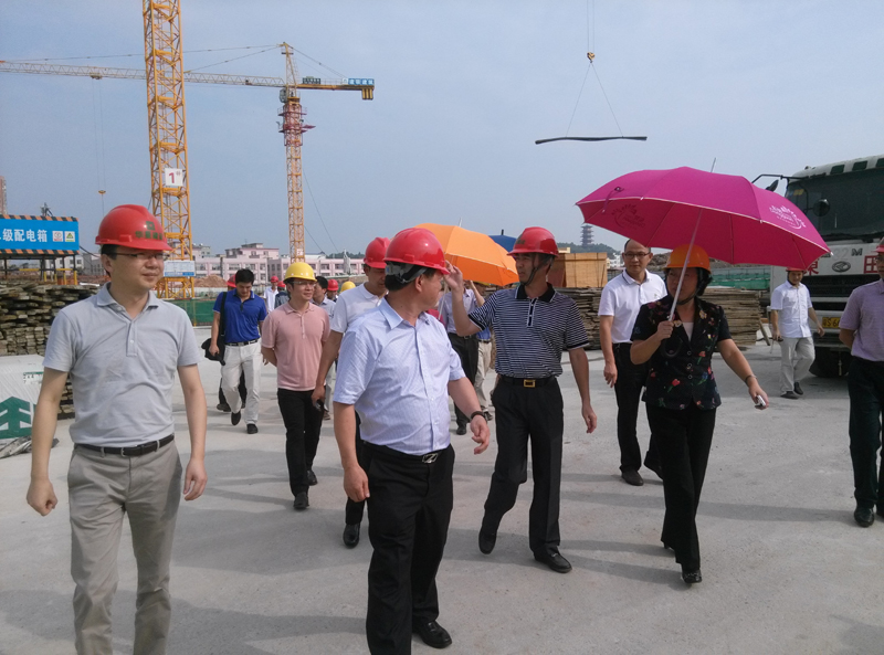 東莞市副市長喻麗君視察南美世貿中心工地